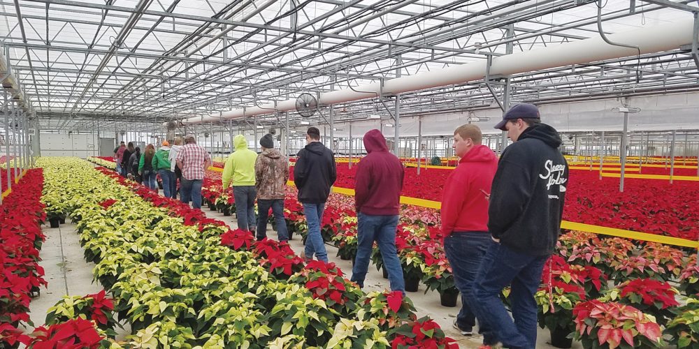 Farm and Industry Short Course students walk past plants in a greenhouse