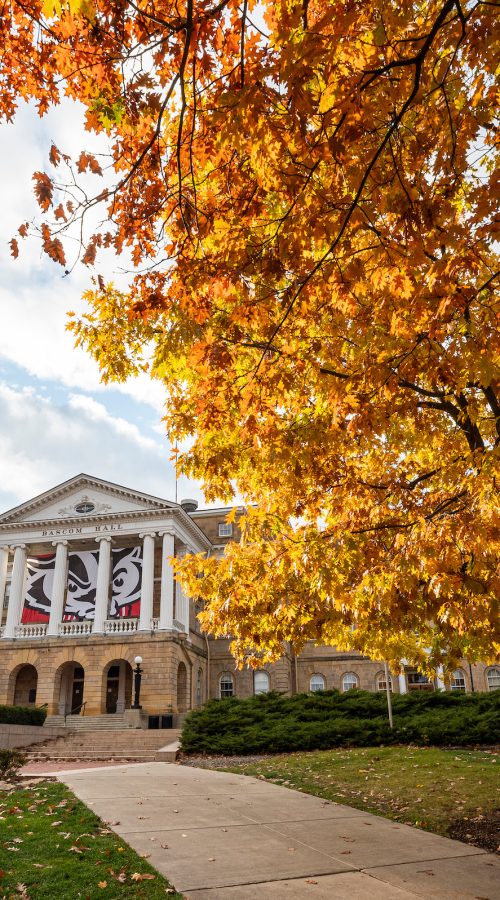 Pedestrians and students walk among the colors of the fall leaves near Bascom Hall at the University of Wisconsin-Madison during autumn on November 11, 2021. (Photo by Bryce Richter / UW-Madison)