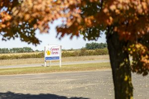 A wooden roadside sign reads Coloma Farms Inc.