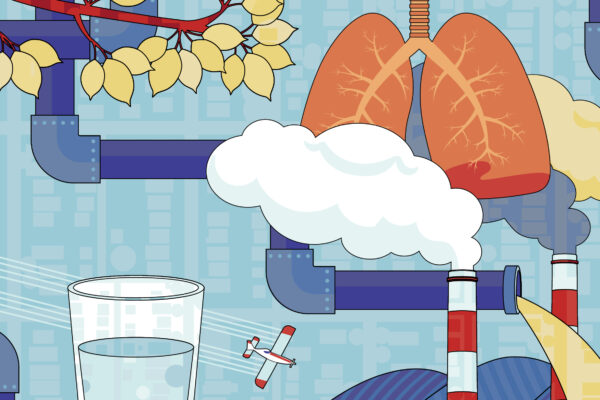Illustration showing lungs, smokestacks, pipes, a glass of water, a plane and tree branches layered over a city map, representing environmental factors that affect public health.